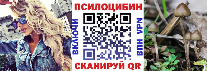 Галлюциногенные грибы Psilocybe  Купить  Амурск 